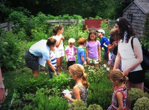 Letting kids taste dill out of our Oldest House garden on Sunday's Family Adventure Day.