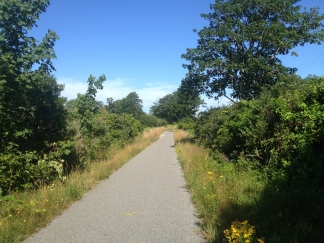 A lovely view down the Madaket Bike Path. With all the green on both sides, it's easy to believe that over 50% of the island is protected by conservation laws.