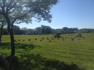 The Quaker Graveyard, located at the intersection of Quaker Lane and Madaket Road.
