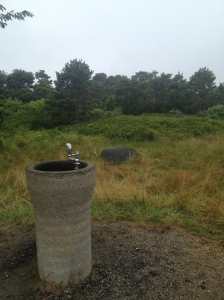 The stone in the background says "Miacomet Indian Burial Ground." Not a very prominent or respectful commemoration tossed next to a water fountain on the bike path.